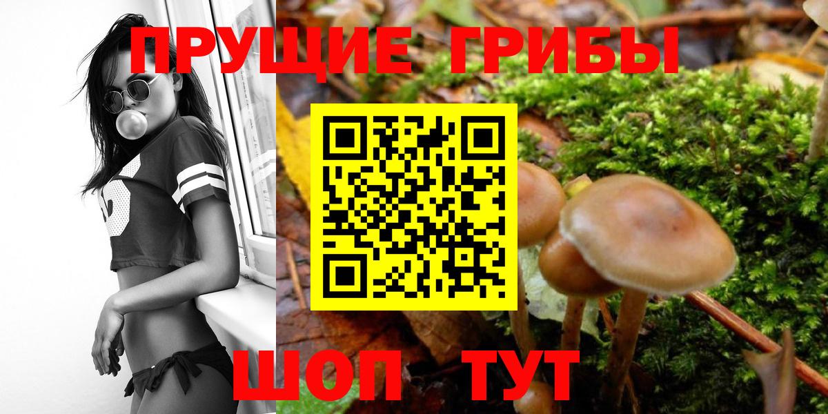 Коломна  Псилоцибиновые грибы ЛСД  Вход с VPN 